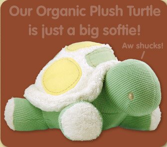 Organic Turtle