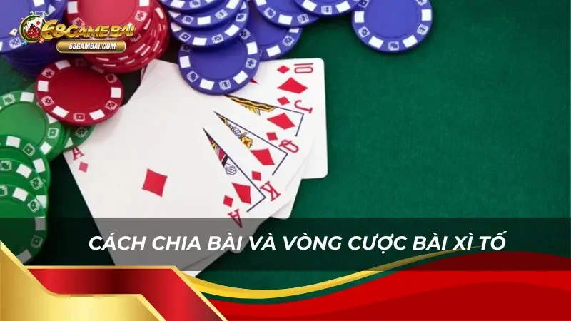 Khám phá cách chia bài và các vòng cược bài Xì tố 